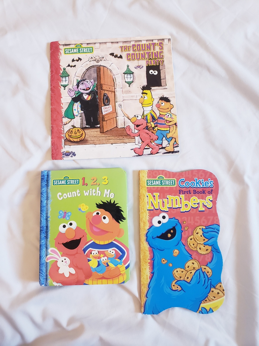 Sesame Street Counting Book Bundle